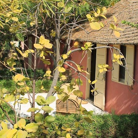 Lampsar Lodge Ndiongo Esterno foto